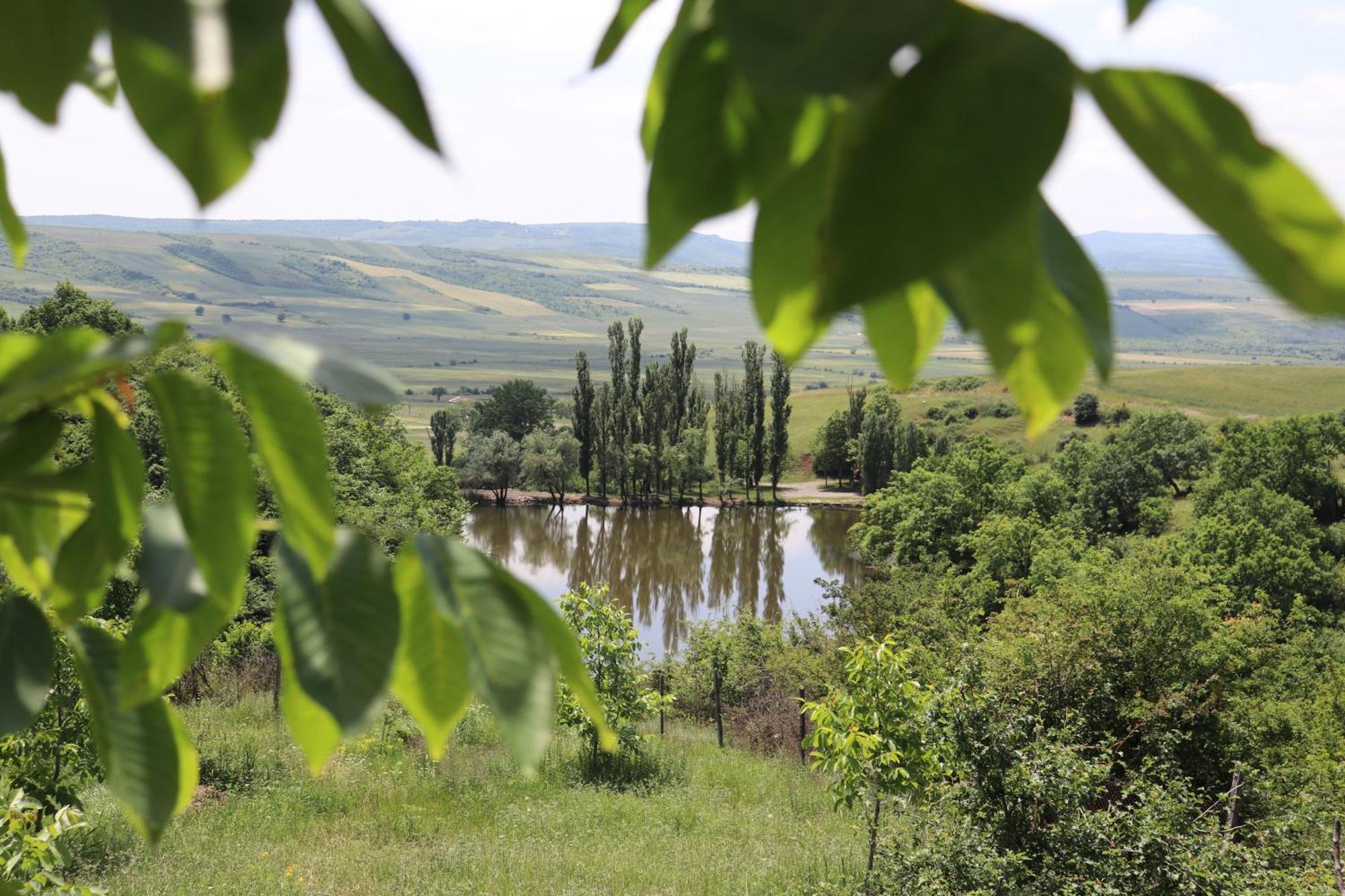 Lakeside Garden - Ismayilli Guest House Экстерьер фото